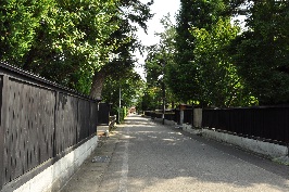 写真:羽黒町武家屋敷通り(夏)