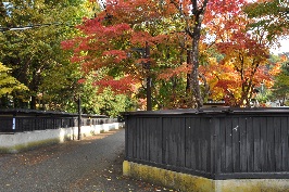 写真:羽黒町武家屋敷通り(秋)